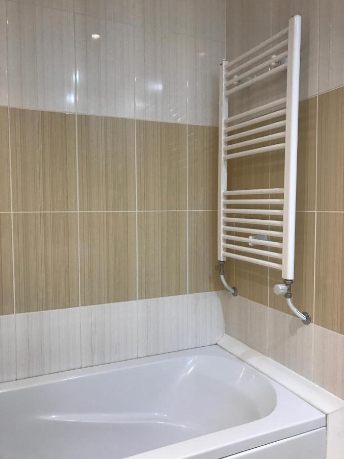 Iceberg Apartment 50 ボロヴェッツ エクステリア 写真